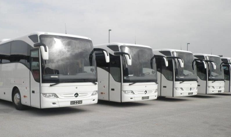 Belarus: Bus company in Gomel Region in Gomel Region and Belarus