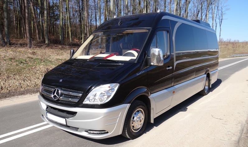 Minsk Region: Bus reservation in Nyasvizh in Nyasvizh and Belarus