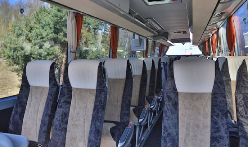 Belarus: Coach charter in Brest Region in Brest Region and Malaryta