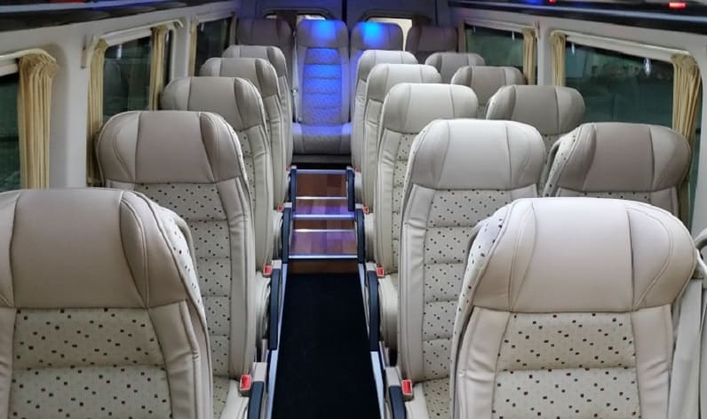 Belarus: Coach company in Minsk Region in Minsk Region and Uzda