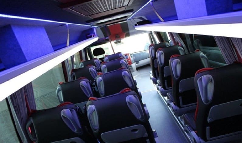 Belarus: Coach rent in Brest Region in Brest Region and Kobryn